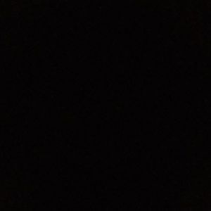 Meet your Posher, Hector